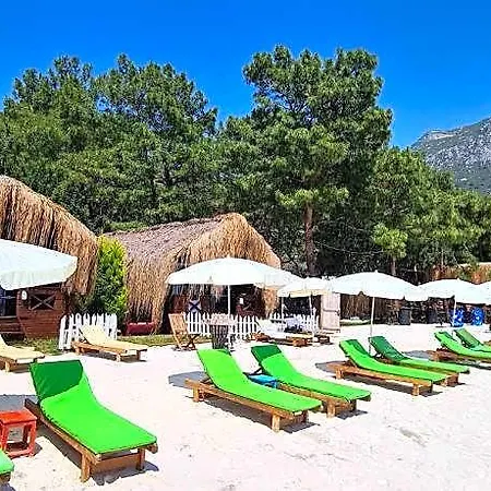 فندق Pine 4*