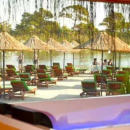 Pine فندق 4*