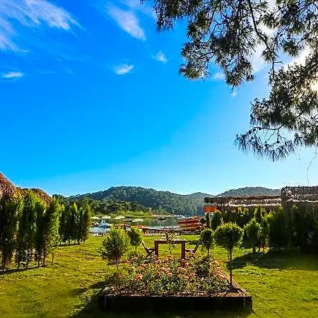 Szálloda Pine 4*