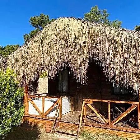 Pine Szálloda