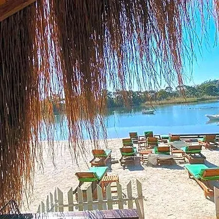 Pine فندق