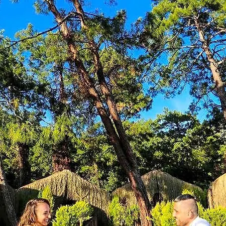 فندق Pine