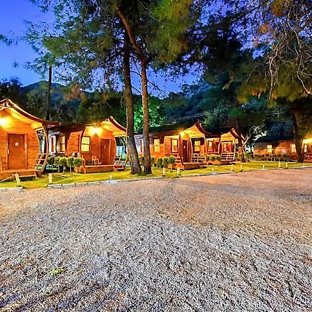 فندق Pine