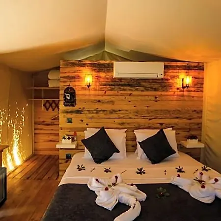 Pine فندق