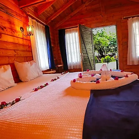 Pine فندق 4*