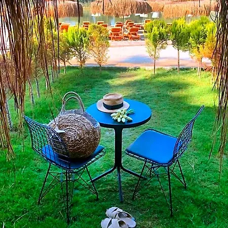 فندق Pine 4*