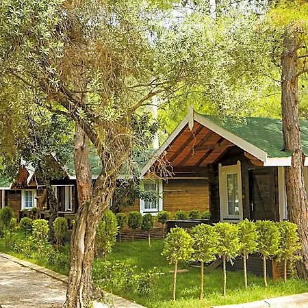 Pine فندق أولدينيس