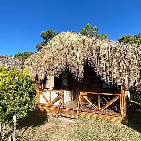فندق Pine 4*