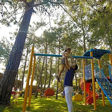 Pine 4* أولدينيس