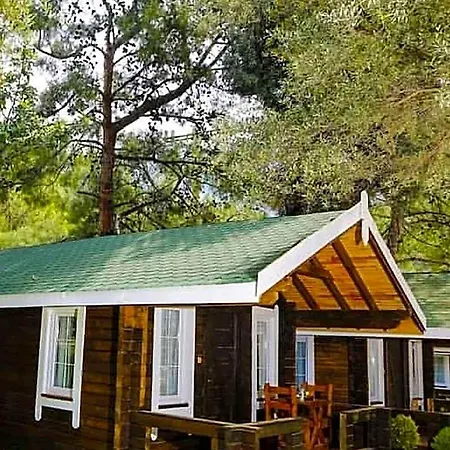 Pine 4* أولدينيس