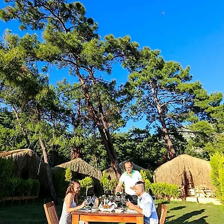 فندق Pine