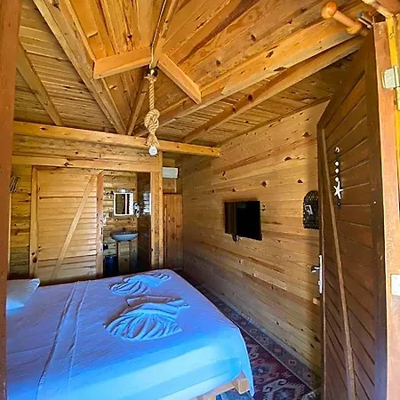 Pine فندق